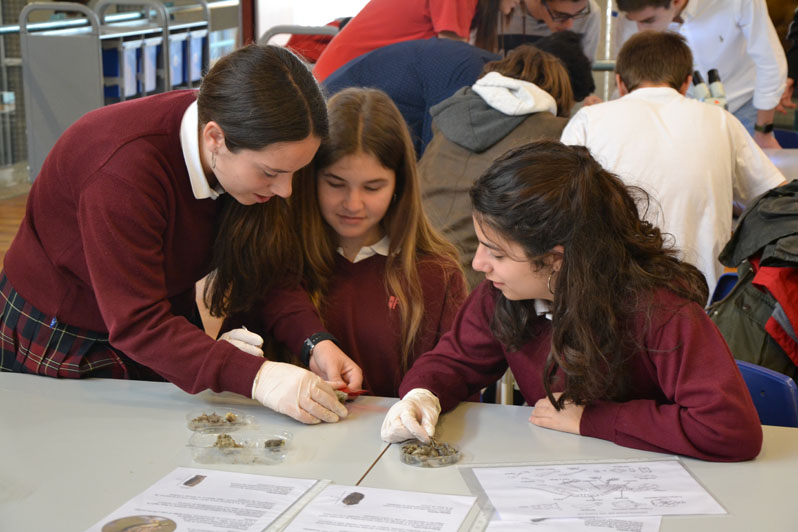 Alumnas de 3º de ESO participan en un Congreso científico para escolares 5