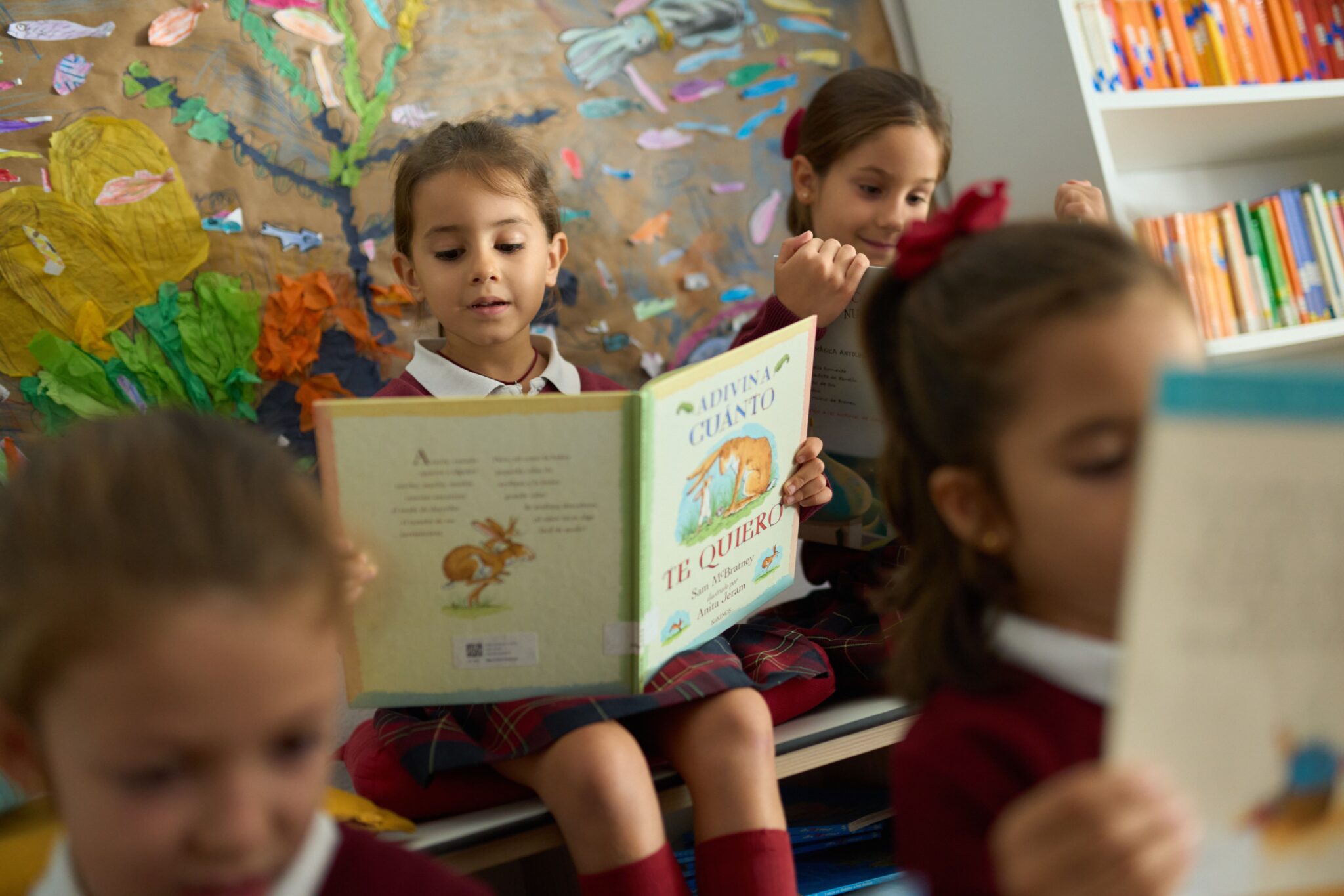 primaria Colegio Fuenllana