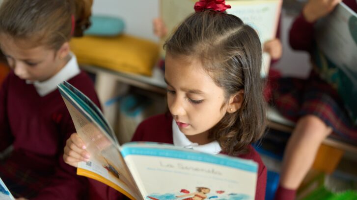 plan lector y lengua